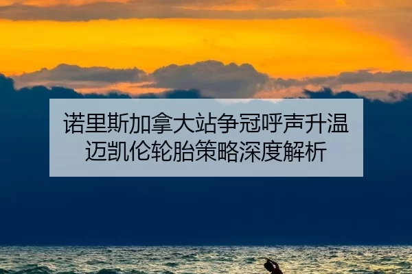 nuo-li-si-jia-na-da-zhan-zheng-guan-hu-sheng-sheng-wen-mai-kai-lun-lun-tai-ce-lve-shen-du-jie-xi-1-396.jpg